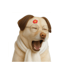 面白いハゲ犬 （NT）（個別スタンプ：36）