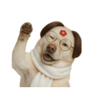 面白いハゲ犬 （NT）（個別スタンプ：37）