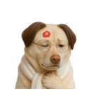 面白いハゲ犬 （NT）（個別スタンプ：39）
