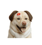 面白いハゲ犬 （NT）（個別スタンプ：40）