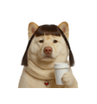 かわいいおさげ髪の犬 （NT）（個別スタンプ：5）