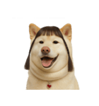 かわいいおさげ髪の犬 （NT）（個別スタンプ：15）