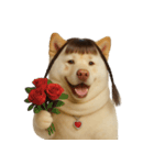 かわいいおさげ髪の犬 （NT）（個別スタンプ：16）