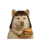 かわいいおさげ髪の犬 （NT）（個別スタンプ：18）
