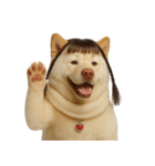かわいいおさげ髪の犬 （NT）（個別スタンプ：25）