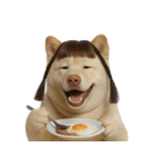 かわいいおさげ髪の犬 （NT）（個別スタンプ：26）