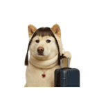 かわいいおさげ髪の犬 （NT）（個別スタンプ：27）
