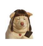 かわいいおさげ髪の犬 （NT）（個別スタンプ：29）