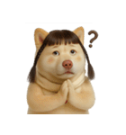 かわいいおさげ髪の犬 （NT）（個別スタンプ：34）