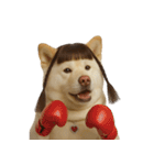 かわいいおさげ髪の犬 （NT）（個別スタンプ：38）
