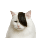 ハンサムなヘアスタイルの猫 （NT）（個別スタンプ：6）