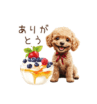トイプードルとヘルシー生活♪（個別スタンプ：9）