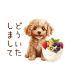 トイプードルとヘルシー生活♪（個別スタンプ：11）