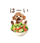 トイプードルとヘルシー生活♪（個別スタンプ：13）
