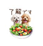トイプードルとヘルシー生活♪（個別スタンプ：14）