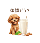 トイプードルとヘルシー生活♪（個別スタンプ：17）