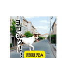 ⚫[動く！！]猫ミームで会話⭐24匹セット！（個別スタンプ：3）
