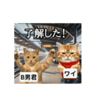 ⚫[動く！！]猫ミームで会話⭐24匹セット！（個別スタンプ：6）