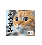 ⚫[動く！！]猫ミームで会話⭐24匹セット！（個別スタンプ：10）