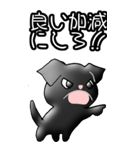 プチブラバンソンのウメ バージョン2（個別スタンプ：19）