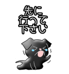プチブラバンソンのウメ バージョン2（個別スタンプ：36）