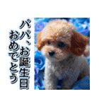 【父の日】飛び出す★青薔薇父の日【6/15】（個別スタンプ：9）