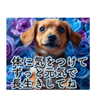 【父の日】飛び出す★青薔薇父の日【6/15】（個別スタンプ：11）