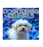 【父の日】飛び出す★青薔薇父の日【6/15】（個別スタンプ：15）