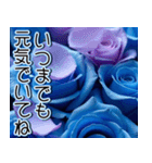 【父の日】飛び出す★青薔薇父の日【6/15】（個別スタンプ：20）