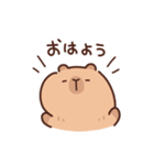 やさしいカピバラの家族連絡（個別スタンプ：1）