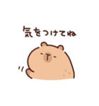 やさしいカピバラの家族連絡（個別スタンプ：28）