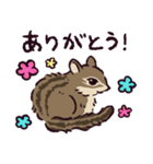 シマリスです（個別スタンプ：1）