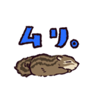 シマリスです（個別スタンプ：8）