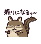 シマリスです（個別スタンプ：26）