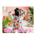 それゆけおかんゴリラ【夏ver】（個別スタンプ：1）