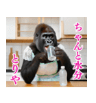 それゆけおかんゴリラ【夏ver】（個別スタンプ：5）