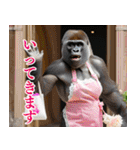 それゆけおかんゴリラ【夏ver】（個別スタンプ：7）