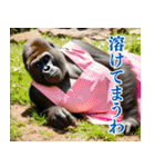 それゆけおかんゴリラ【夏ver】（個別スタンプ：13）