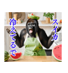 それゆけおかんゴリラ【夏ver】（個別スタンプ：18）
