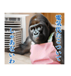 それゆけおかんゴリラ【夏ver】（個別スタンプ：21）