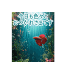 背景が動く▶︎美しいアクアリウムギフト✨（個別スタンプ：1）