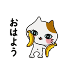 動く！楽しく家族連絡をする子猫たち（個別スタンプ：3）
