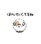 元気に動くね ぱやぱや犬(ドッグ)（個別スタンプ：12）
