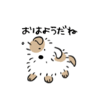 元気に動くね ぱやぱや犬(ドッグ)（個別スタンプ：18）
