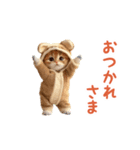 踊る！ダンス猫（着ぐるみ）（個別スタンプ：1）