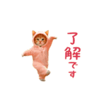 踊る！ダンス猫（着ぐるみ）（個別スタンプ：2）