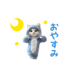 踊る！ダンス猫（着ぐるみ）（個別スタンプ：8）