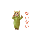 踊る！ダンス猫（着ぐるみ）（個別スタンプ：9）