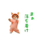 踊る！ダンス猫（着ぐるみ）（個別スタンプ：14）