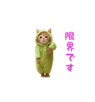 踊る！ダンス猫（着ぐるみ）（個別スタンプ：15）
